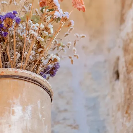 La Casa A Corte Con Terrazzo - Artemisia Homes Spongano