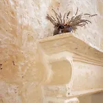 Casa Gelsomino - Artemisia Homes